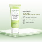 Cleanser Mud | Sữa rửa mặt đất sét kiểm soát dầu được chiết xuất 100% từ chất diệp lục